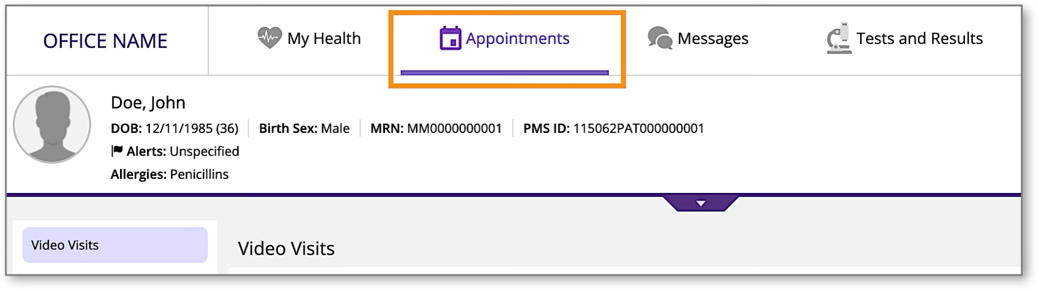 A screenshot of the patient portal navigation bar with the 'Appointments' tab highlighted.