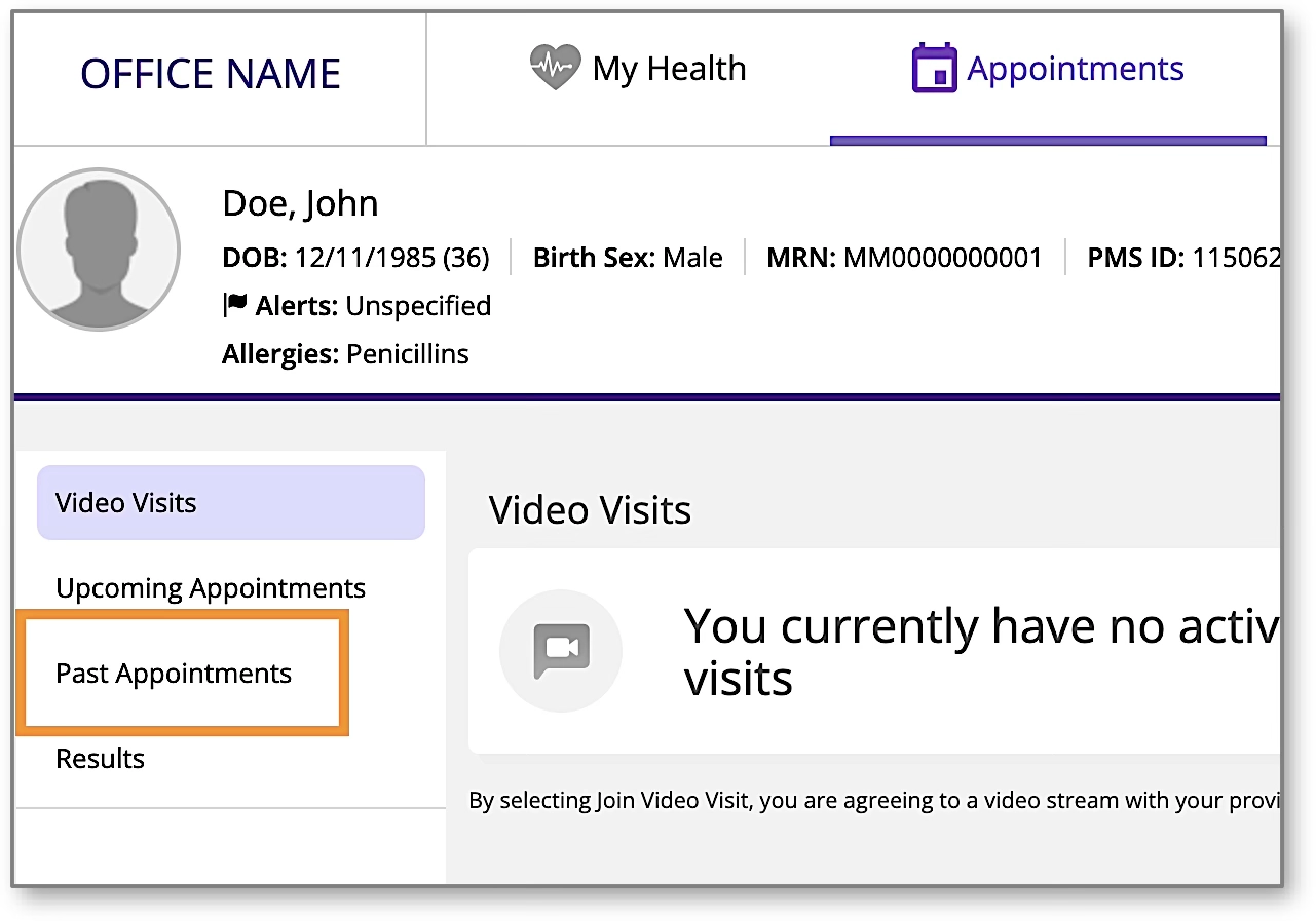 A screenshot of the appointments screen showing a sidebar menu with 'Past Appointments' highlighted.